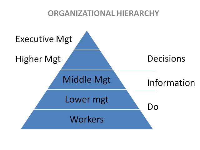 organizational hierarchy